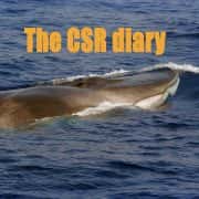 Fin whale CSR Diary