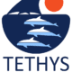 whalesanddolphins.tethys.org