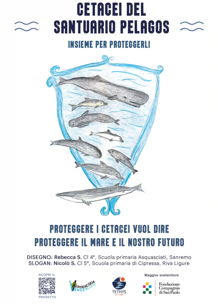 TOTEBAG_PELAGOS_2